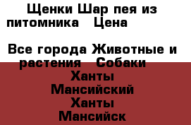 Щенки Шар пея из питомника › Цена ­ 25 000 - Все города Животные и растения » Собаки   . Ханты-Мансийский,Ханты-Мансийск г.